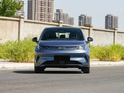 BYD Dolphin Фото №2
