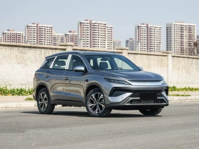 BYD Song PRO DM-i Фото №3