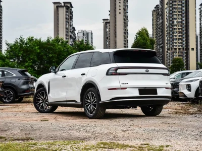 Changan Qiyuan Nevo Q07 Фото №6