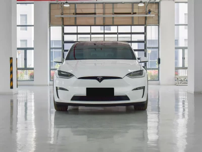 Tesla Model X  Фото №2