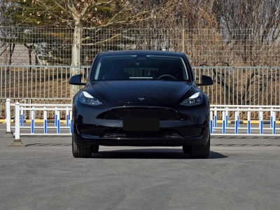 Tesla Model Y  Фото №2