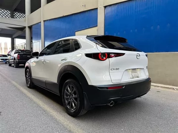CX-30